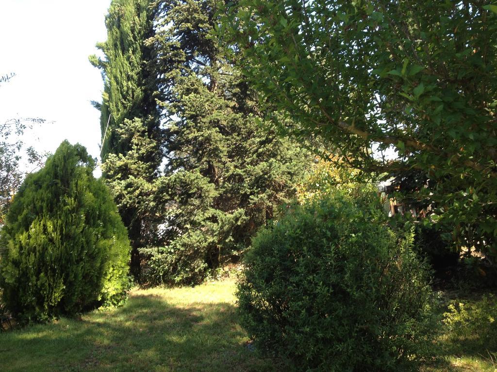 Villa Il Belvedere Di Roccavo à Castiglion Fiorentino Extérieur photo